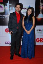 Diyali Chauhan at ITA Awards red carpet in Mumbai on 1st Nov 2014
